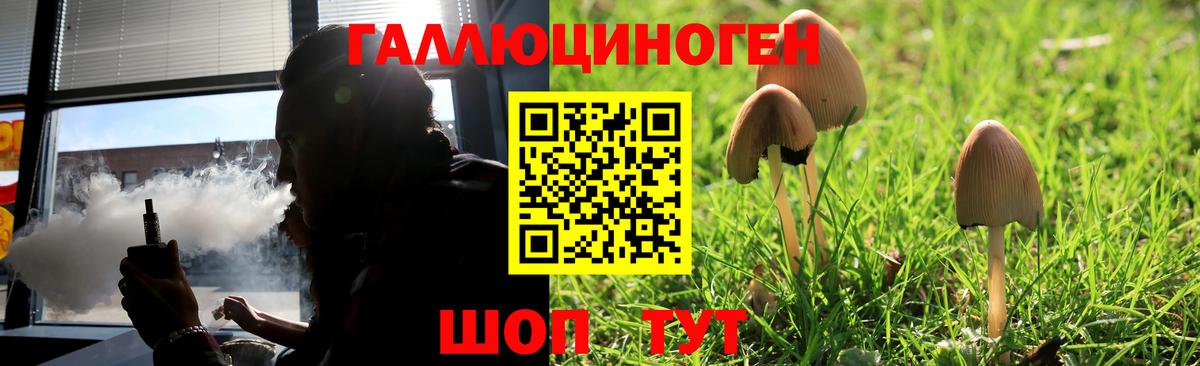 Кисловодск  Галлюциногенные грибы мицелий  Галлюциногенные грибы мицелий  Вход с VPN 